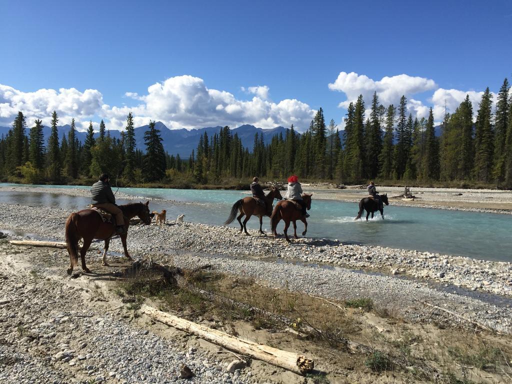 Bear Paw Lodge Golden Eksteriør bilde